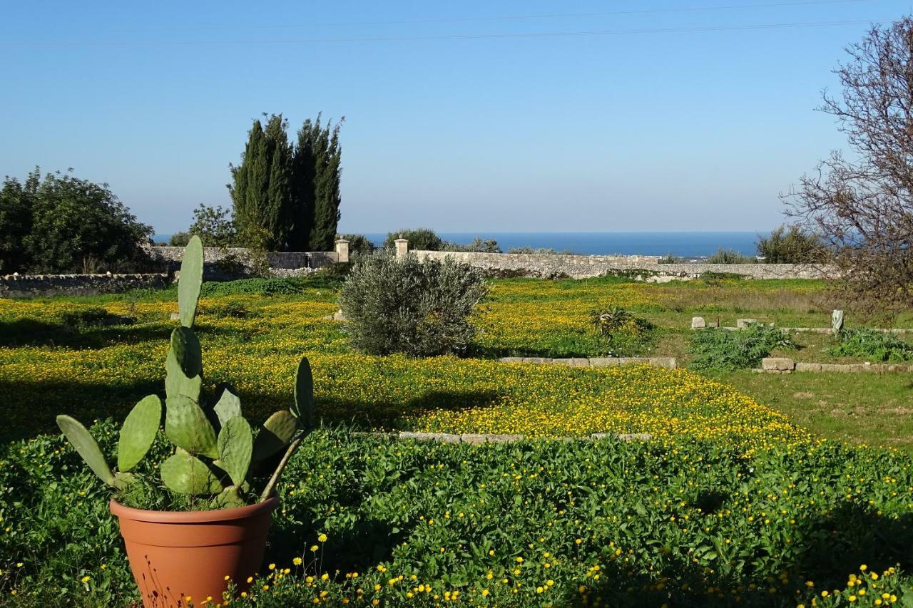 Il Fico D'India Dell'Antico Orto Villa Ostuni Exterior photo
